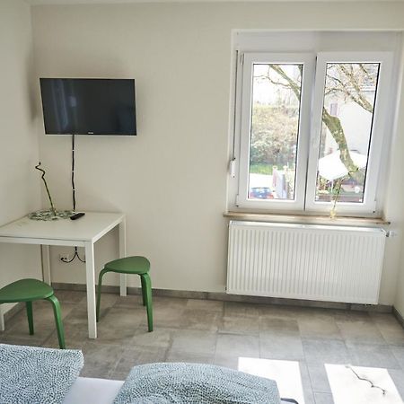 Greenhome Loerrach -Ihre Unterkunft Im 3-Laendereck- Extérieur photo