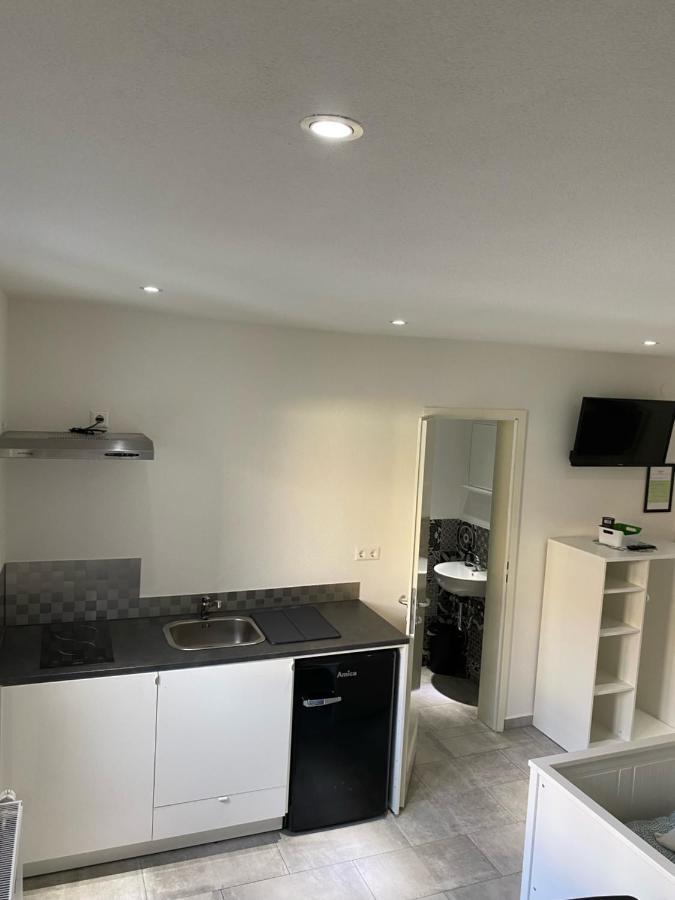 Greenhome Loerrach -Ihre Unterkunft Im 3-Laendereck- Extérieur photo